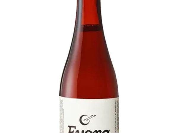 Allagash Brewing Evora Ale Aged in Brandy Barrels
