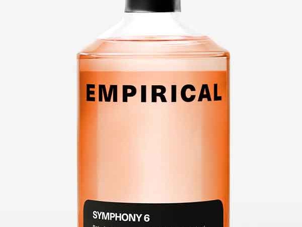 Empirical Symphony 6